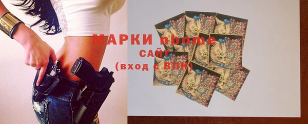 индика Михайловск