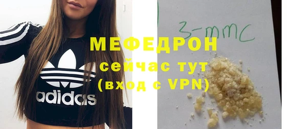индика Михайловск