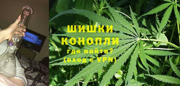 твердый Михайлов