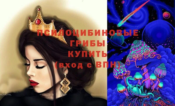 Альфа ПВП Медногорск