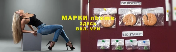 индика Михайловск