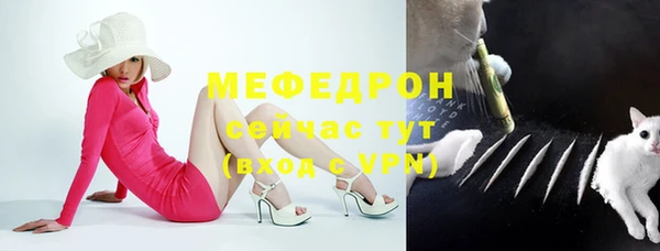 твердый Михайлов