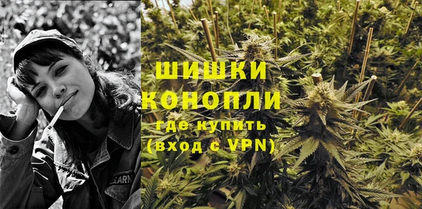 индика Михайловск