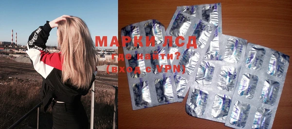 твердый Михайлов