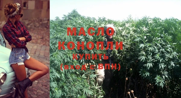 твердый Михайлов