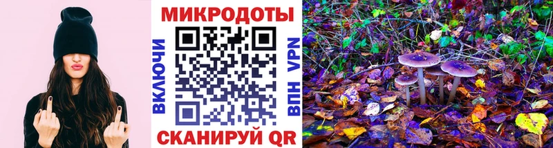 цена   Островной  кракен как войти  Псилоцибиновые грибы Psilocybe 